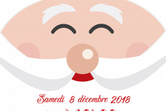 arbre de noel 2018