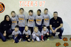 U7-172018