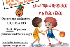 affiche stage 2019 fevrier